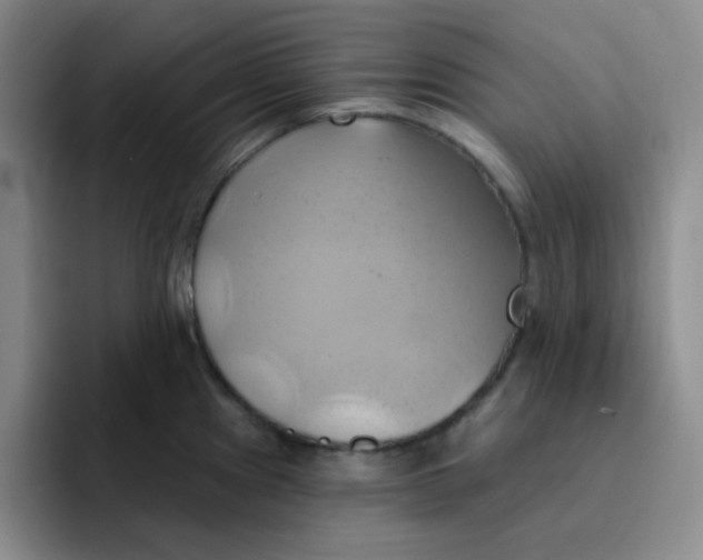 X0000091591241200709171128