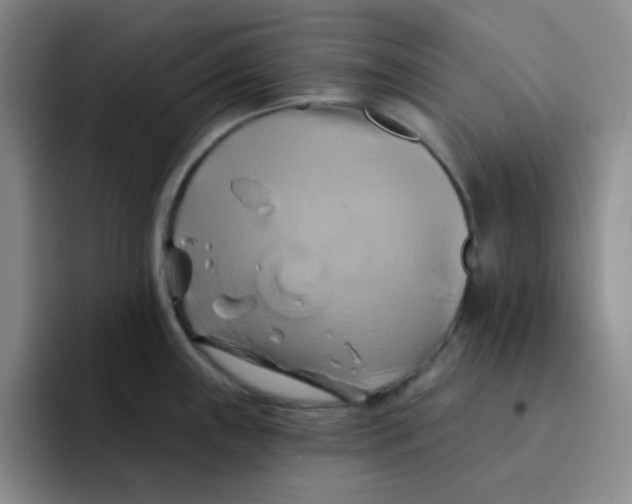 X0000091591243200709171128