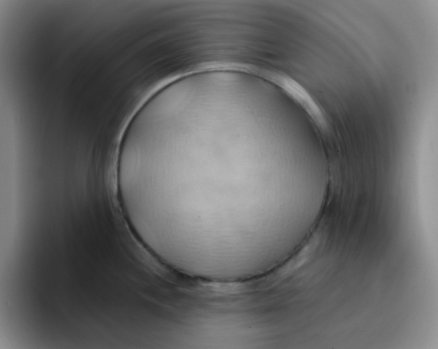 X0000091591244200709171128