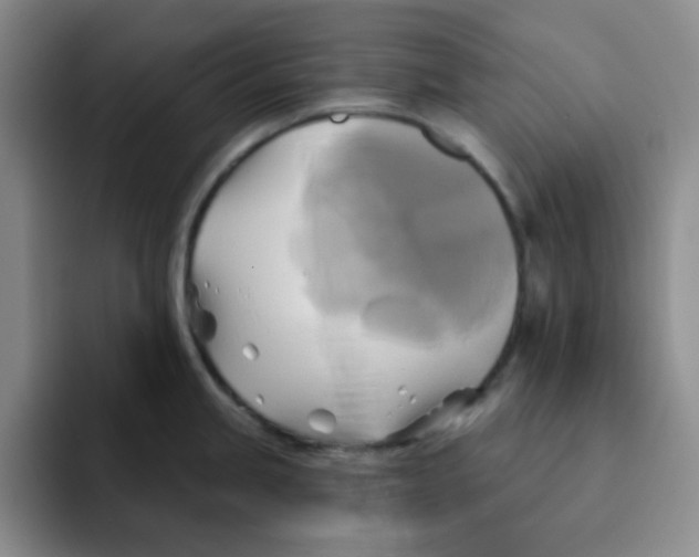 X0000091591245200709171128