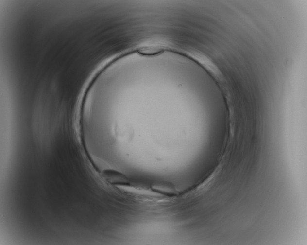 X0000091591248200709171128