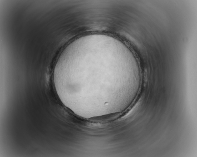 X0000091591257200709171128