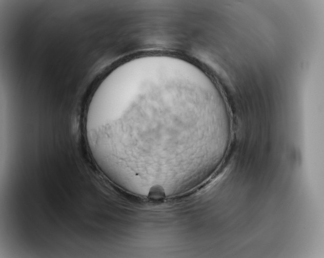 X0000091591259200709171128