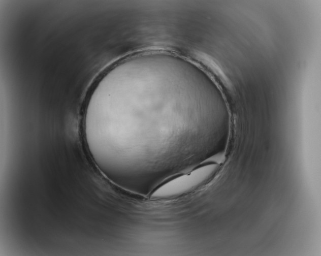 X0000091591260200709171128