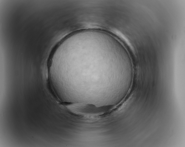 X0000091591269200709171128