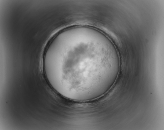 X0000091591272200709171127