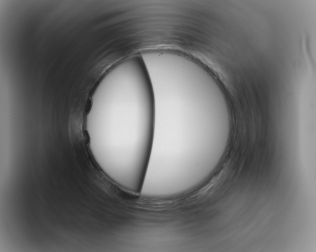 X0000091591273200709171127