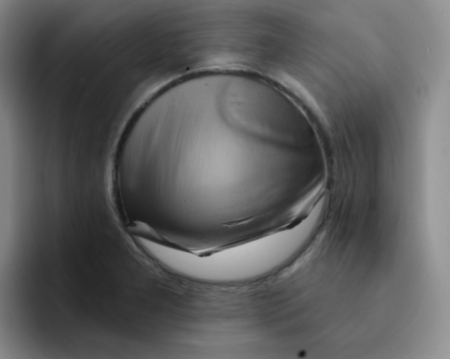 X0000091591277200709171127