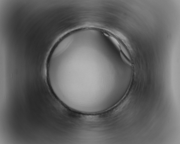 X0000091591280200709171127