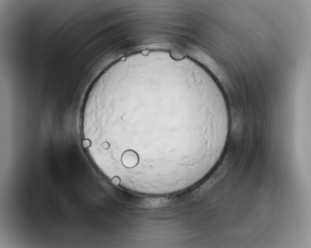 X0000091591282200709171127