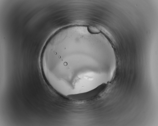 X0000091591283200709171127