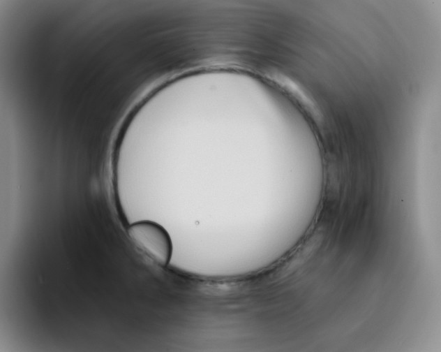 X0000091591286200709171127