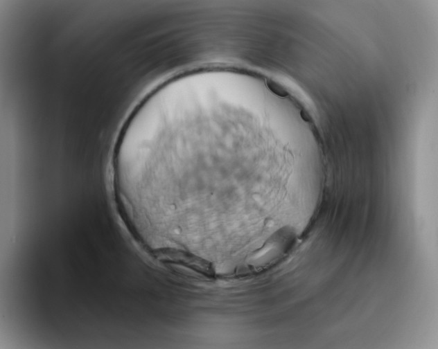 X0000091591287200709171127