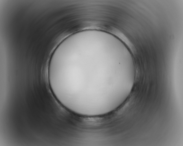 X0000091591290200709171127