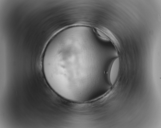 X0000091591292200709171127