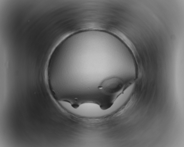 X0000091591293200709171127