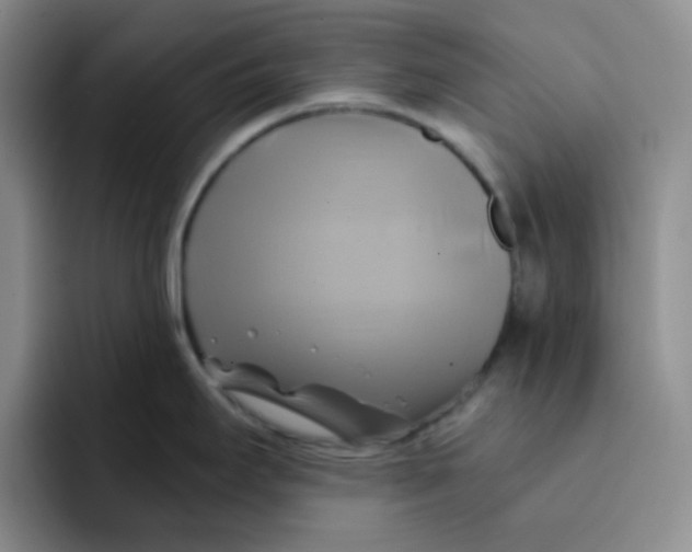 X0000091591295200709171127