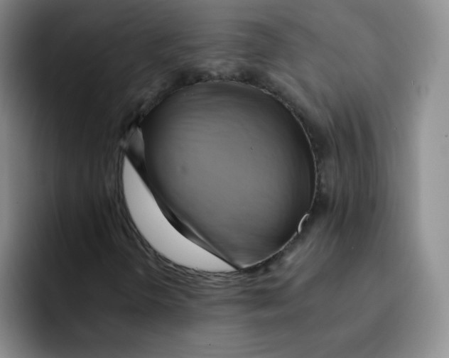 X0000091591298200709171127