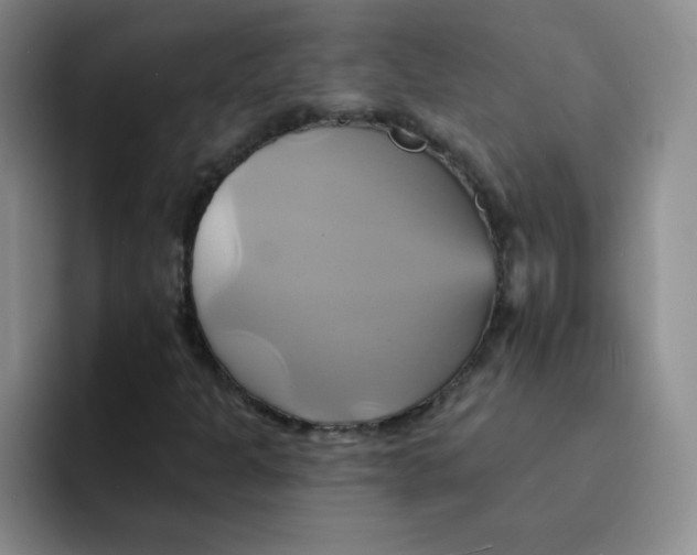 X0000091591301200709171127