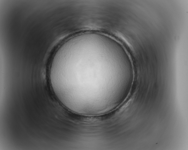 X0000091591307200709171127