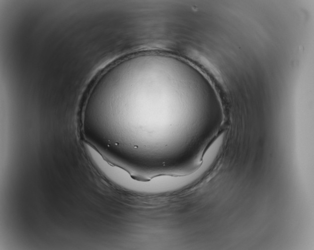 X0000091591308200709171127