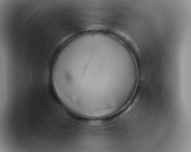 X0000091591313200709171127