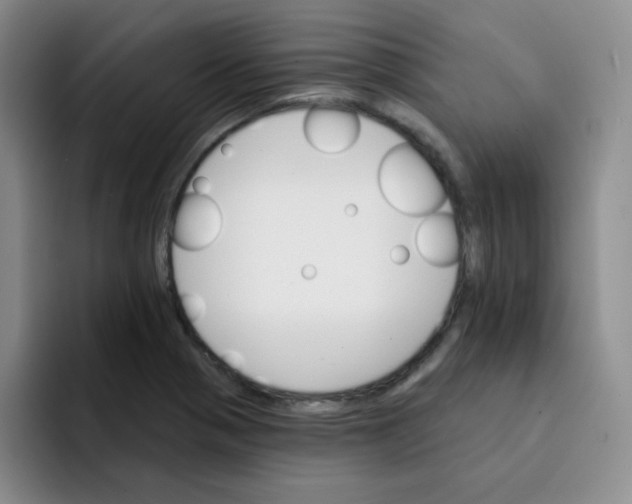 X0000091591321200709171127