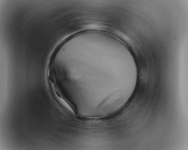 X0000091591323200709171127