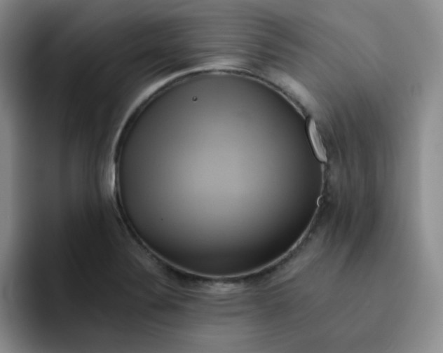 X0000091591324200709171127