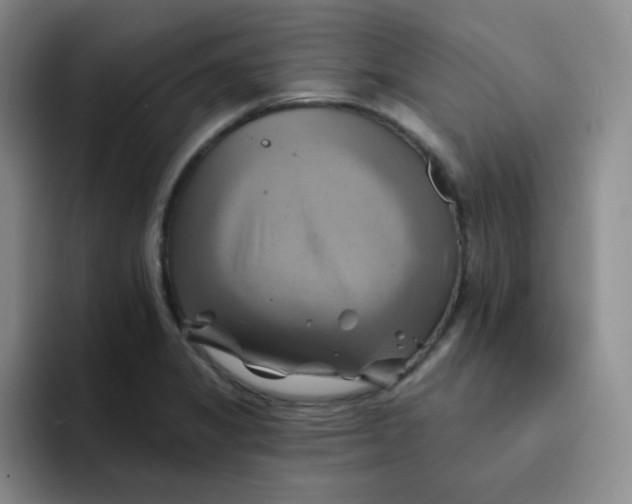 X0000091591325200709171127