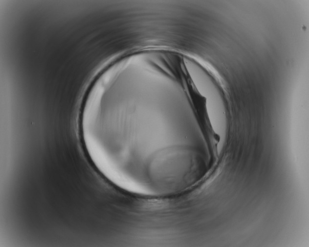 X0000091591333200709171127