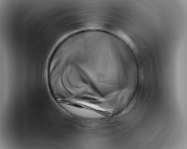 X0000091591334200709171127