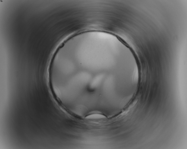 X0000091591341200709171127