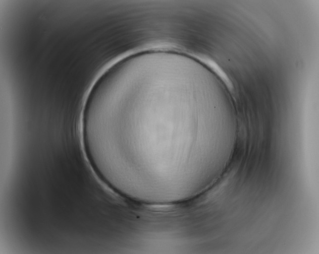 X0000091591343200709171127