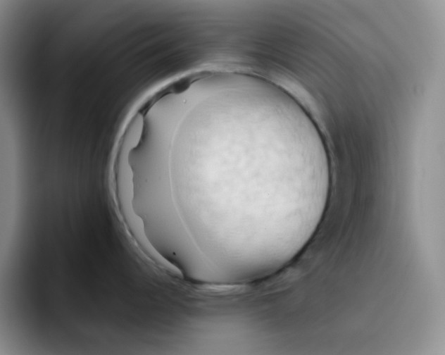 X0000091591344200709171127