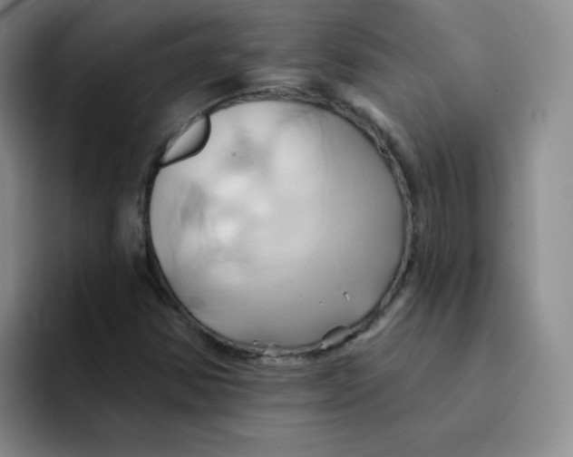 X0000091591354200709171127