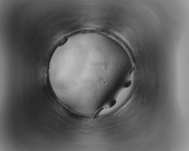 X0000091591355200709171127