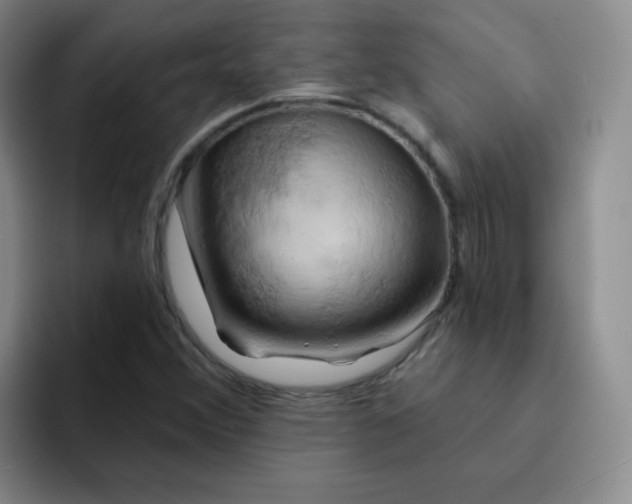 X0000091591356200709171126