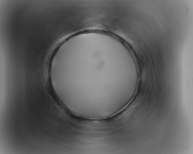 X0000091591359200709171126