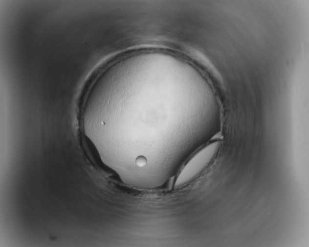 X0000091591360200709171126