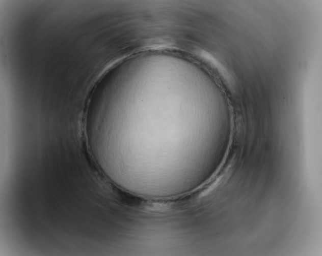 X0000091591361200709171126