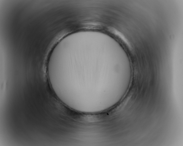 X0000091591362200709171126