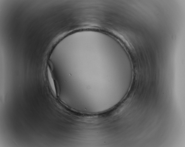 X0000091591363200709171126