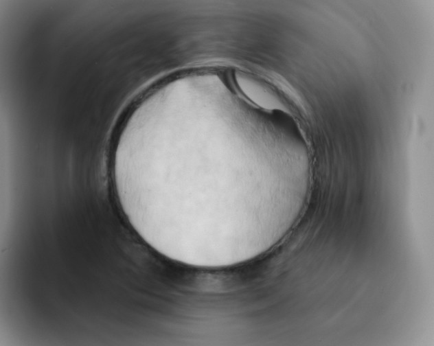 X0000091591364200709171126