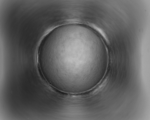 X0000091591365200709171126