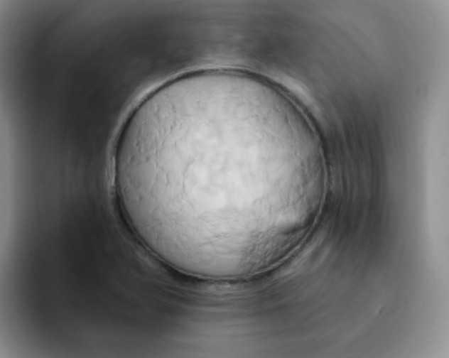 X0000091591366200709171126