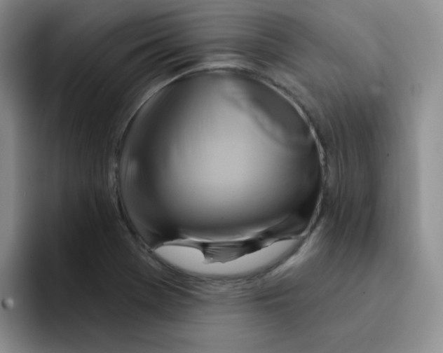 X0000091591369200709171126