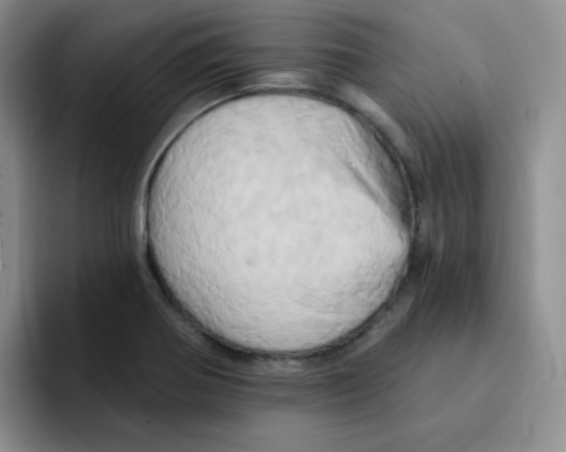 X0000091591370200709171126