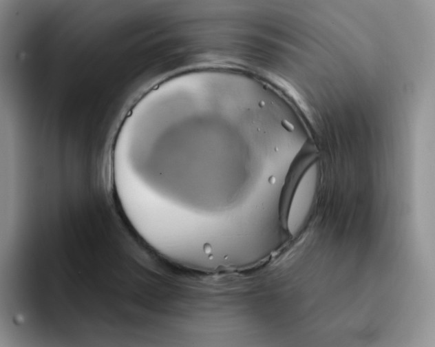 X0000091591371200709171126