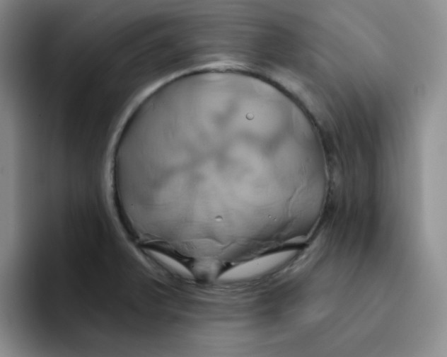 X0000091591375200709171126